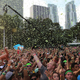Illustration for article titled Miami's Huge EDM Festival Stressed the Hell Out of the Poor Fish